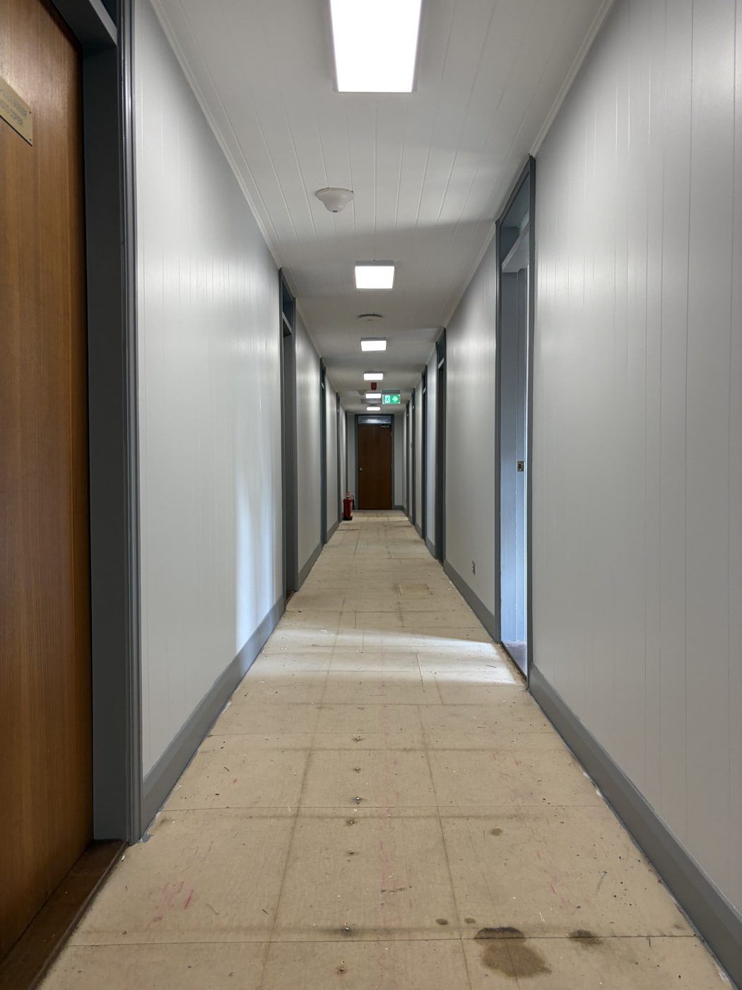 Corridor mid-project with walls freshly painted and floor covering still down